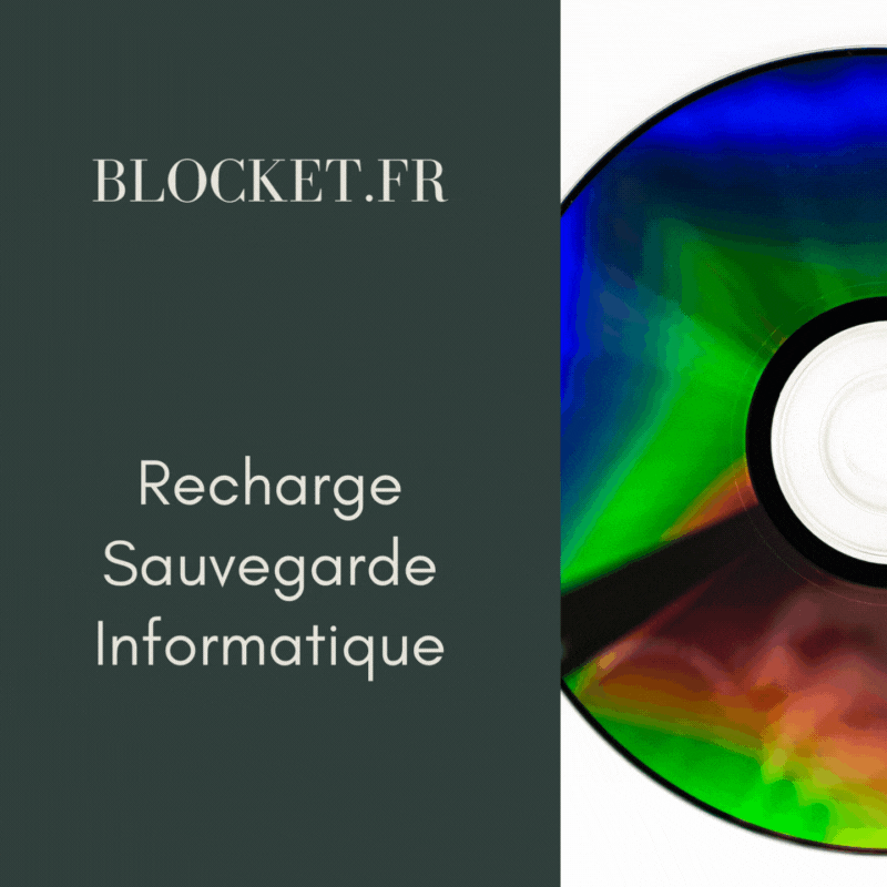 Sauvegarde informatique